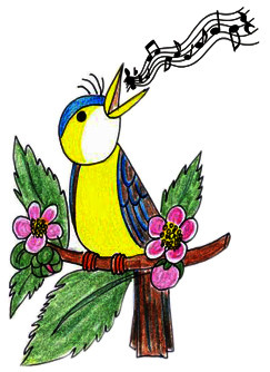 Slávik Slovenska - okresné kolo